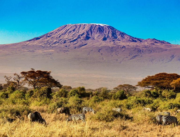 3 Days Tsavo East and Amboseli National 1