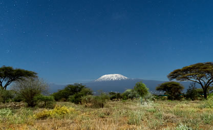 Amboseli National Park Safari