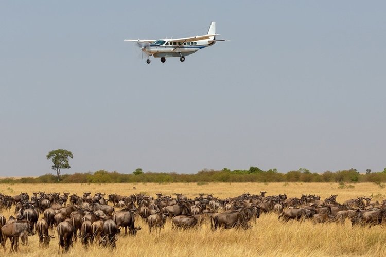 Mara-air-safari-packages.jpg