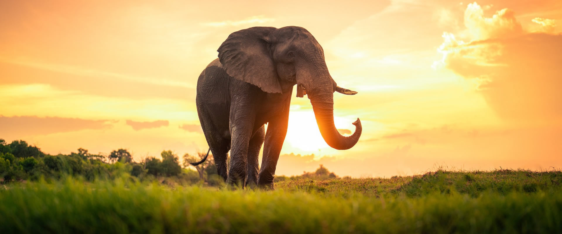 4 Days Tsavo West, Amboseli & Tsavo East Safari